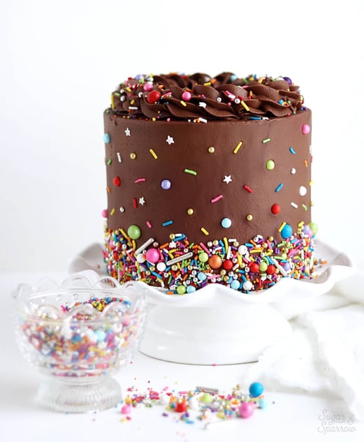 chocolate cake decorated with a colorful sprinkle mix