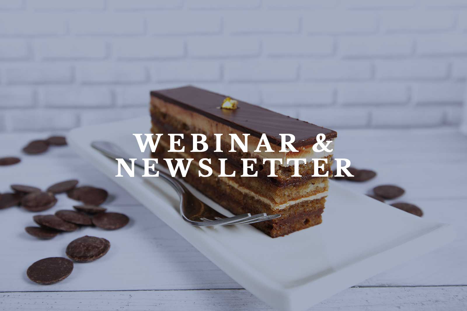 Webinar-&-newsletter-1